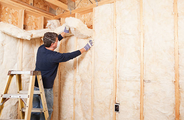 Professional Insulation Services in Debary, FL